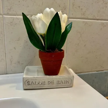 Apartment L'angolo Di Pace