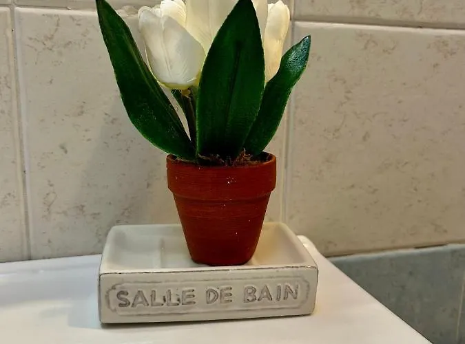 Daire L'angolo Di Pace